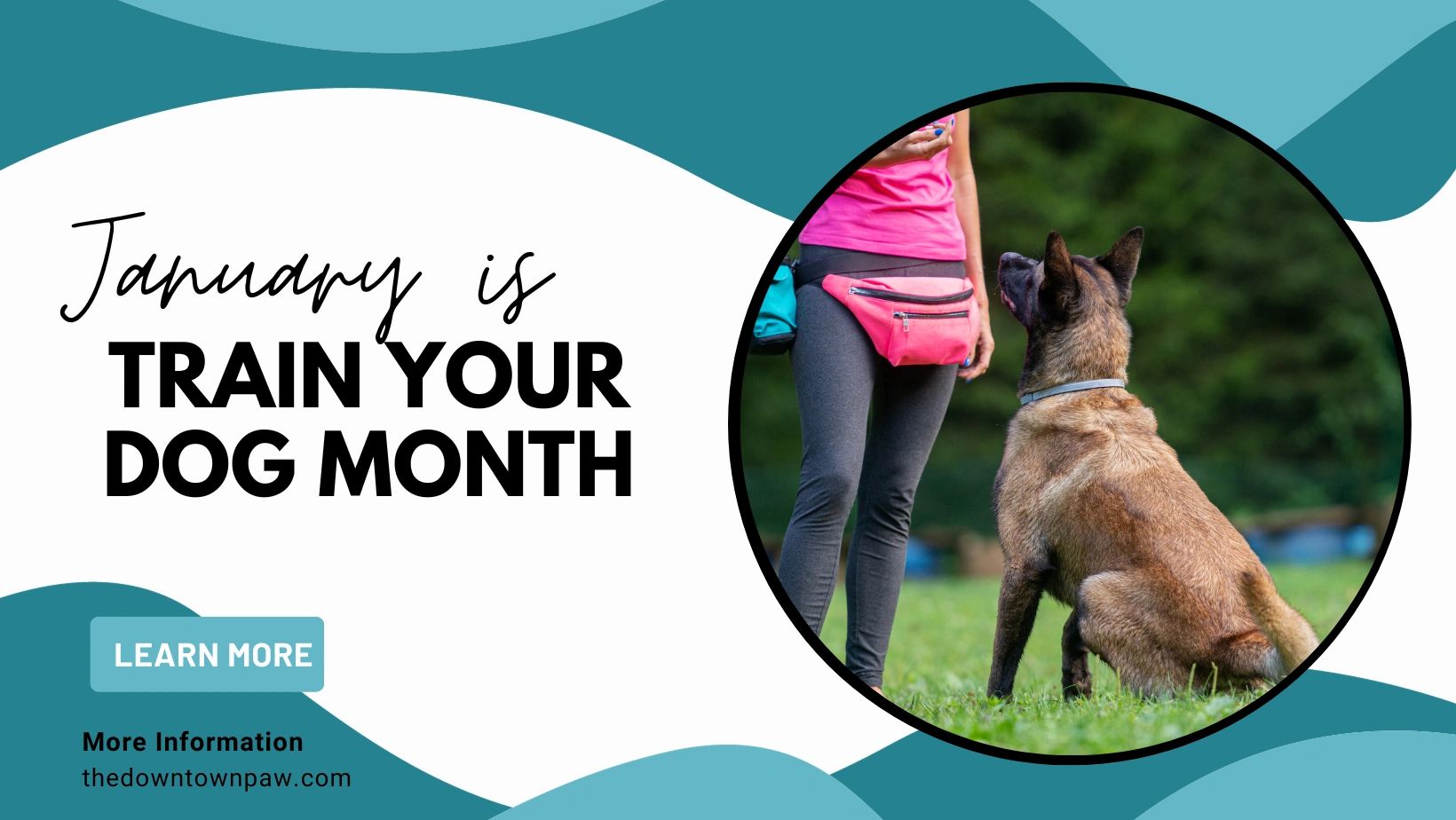 The Downtown Paw Dog Daycare & Grooming Malden, Massachusetts